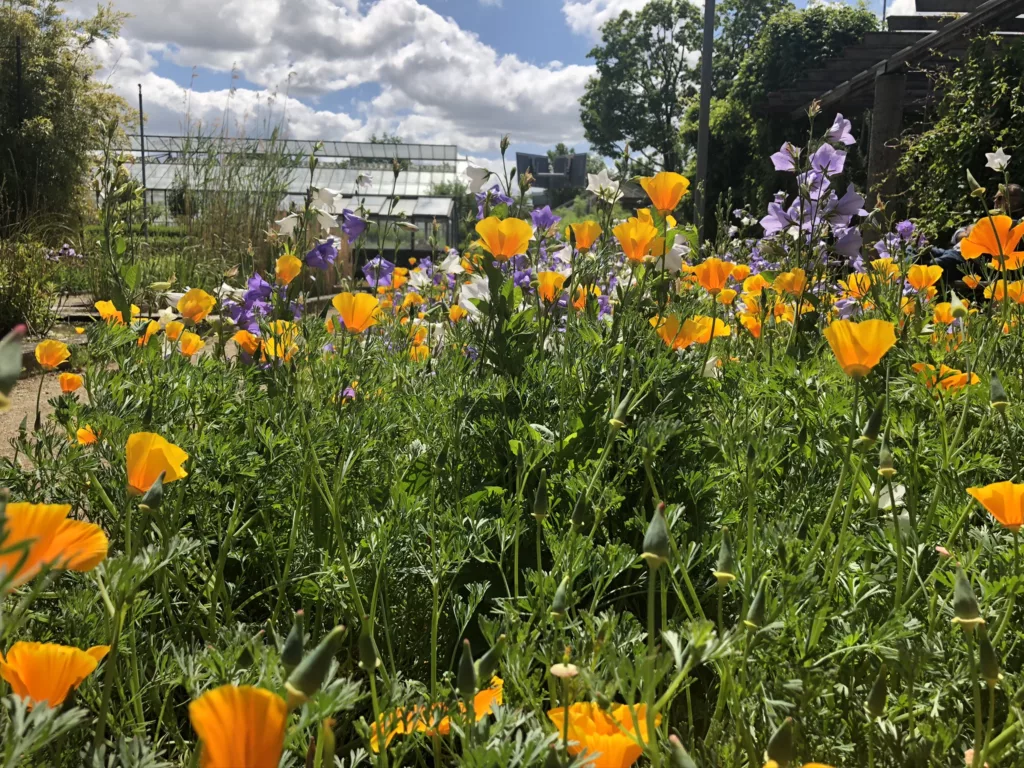 Botanischer Garten Mainz