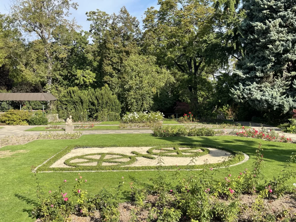 Das Mainzer Rad im Rosengarten