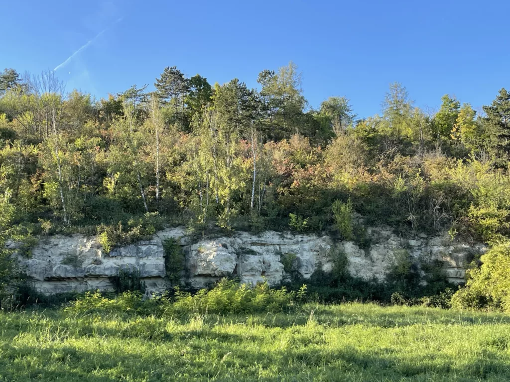 Der Steinbruch in Weisenau