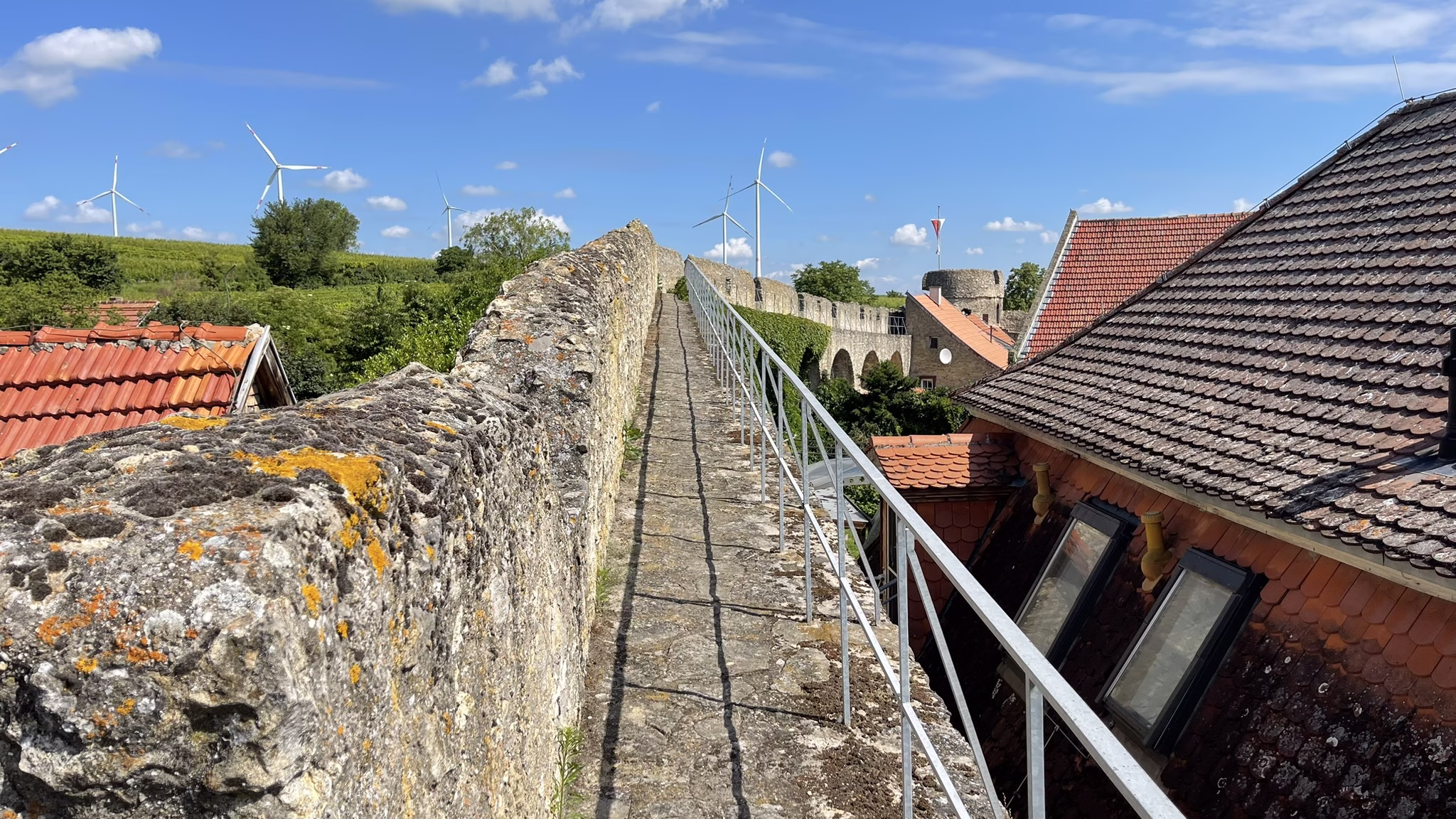 Fleckenmauer Flörsheim-Dalsheim